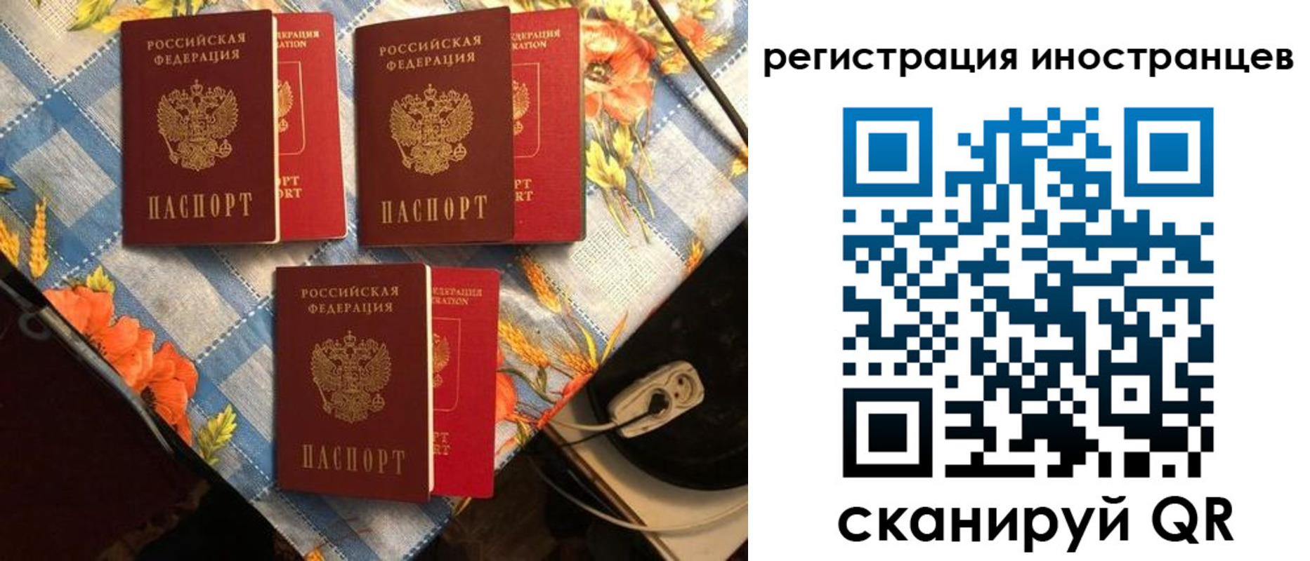 прописка поиск в Палласовке